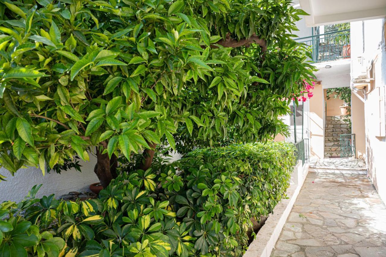 Poros Town Villa Sofia Sea View מראה חיצוני תמונה
